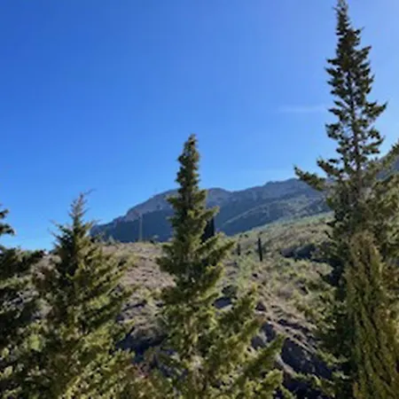 Regard Du Planteur D'arbres *